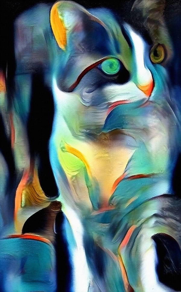 Kitty Cat by Bruce Rolff